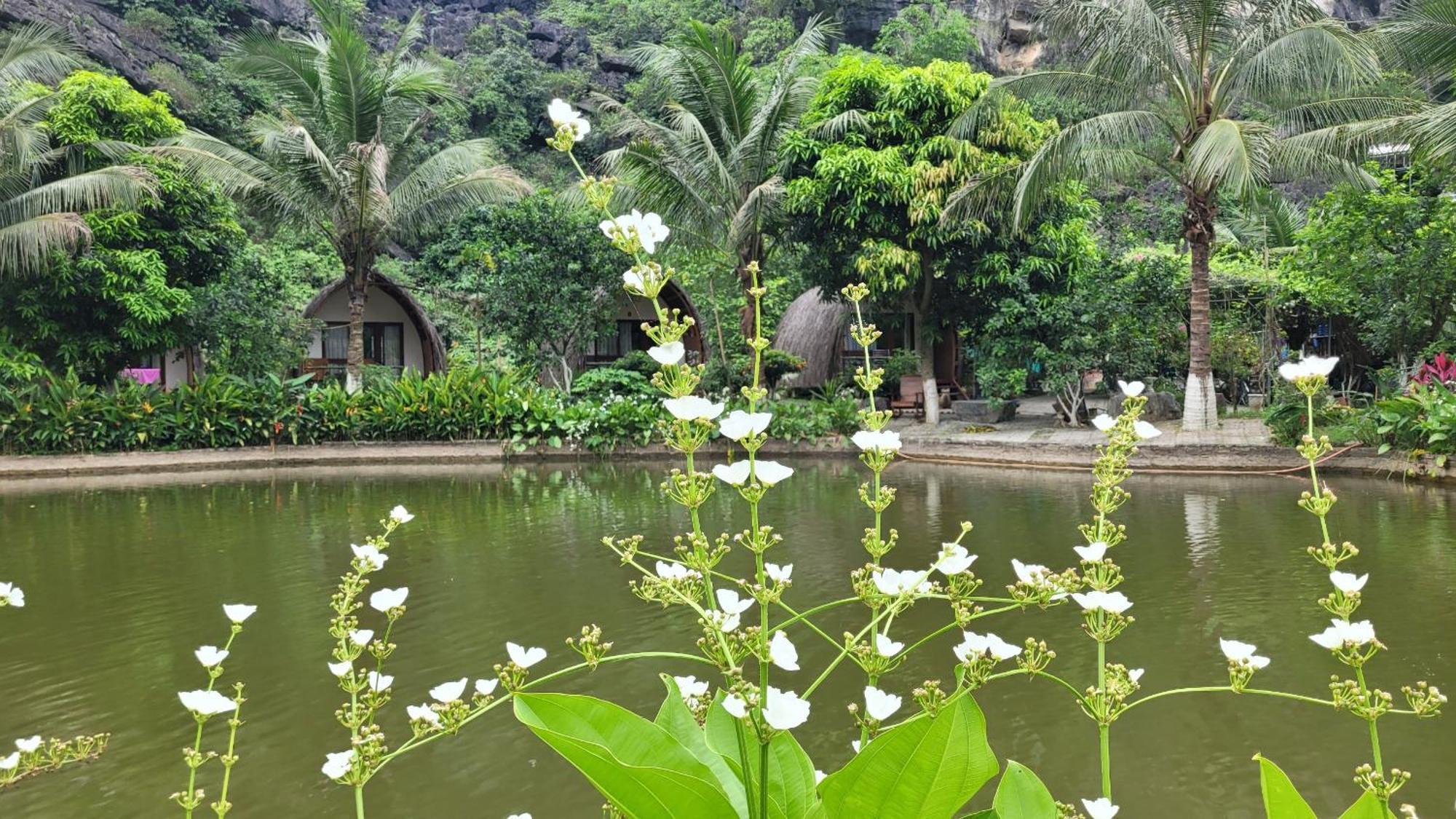 Fairy Mountain Retreat Hotel Ninh Binh Exterior foto